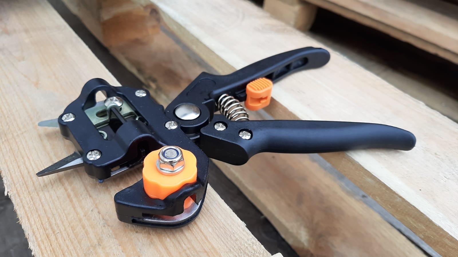 ff5d813a-aee5-4a8c-b901-d69cff82dc2a