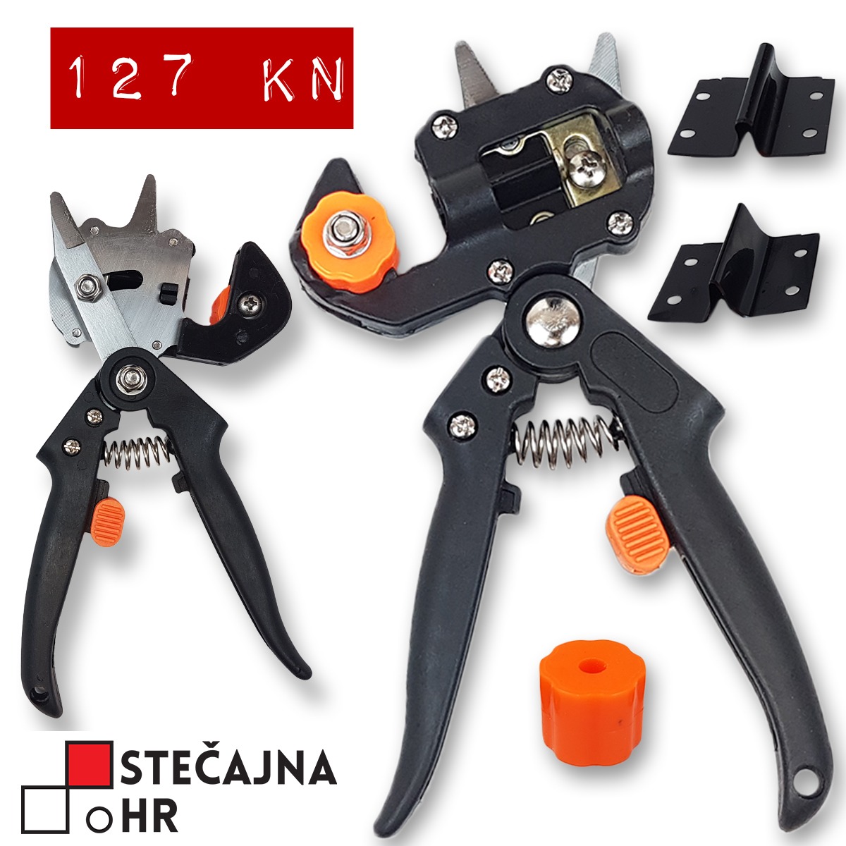 WhatsApp Image 2022-02-02 at 21