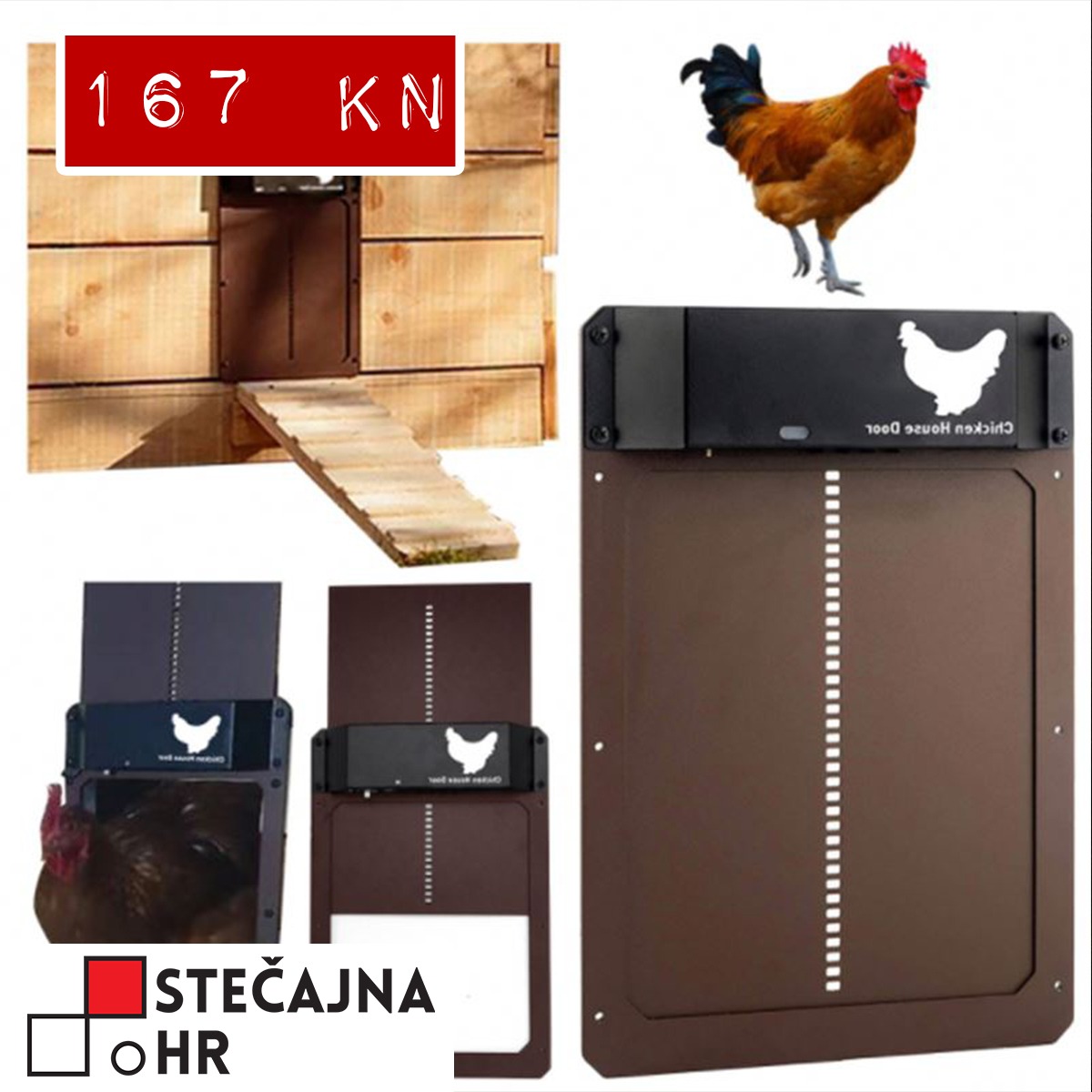 WhatsApp Image 2022-04-30 at 7