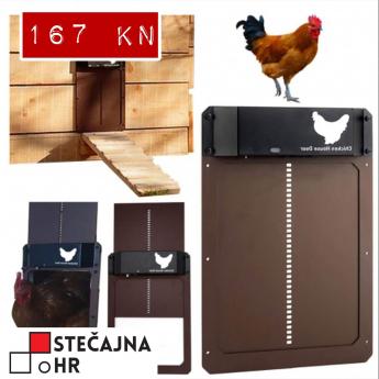 WhatsApp Image 2022-04-30 at 7